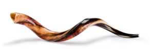 Shofarhorn lavet af antilopehorn