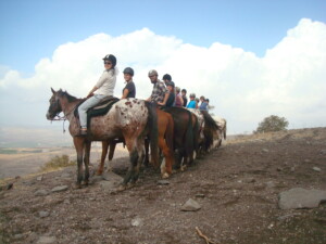 På hesteryg i Golanhøjderne